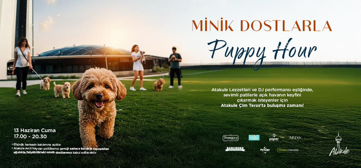 Puppy Hour