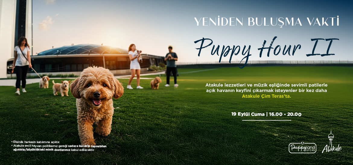 Puppy Hour II
