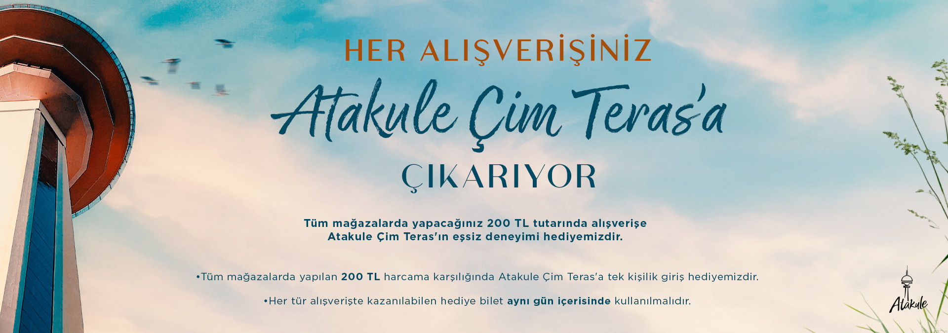 Çim Teras