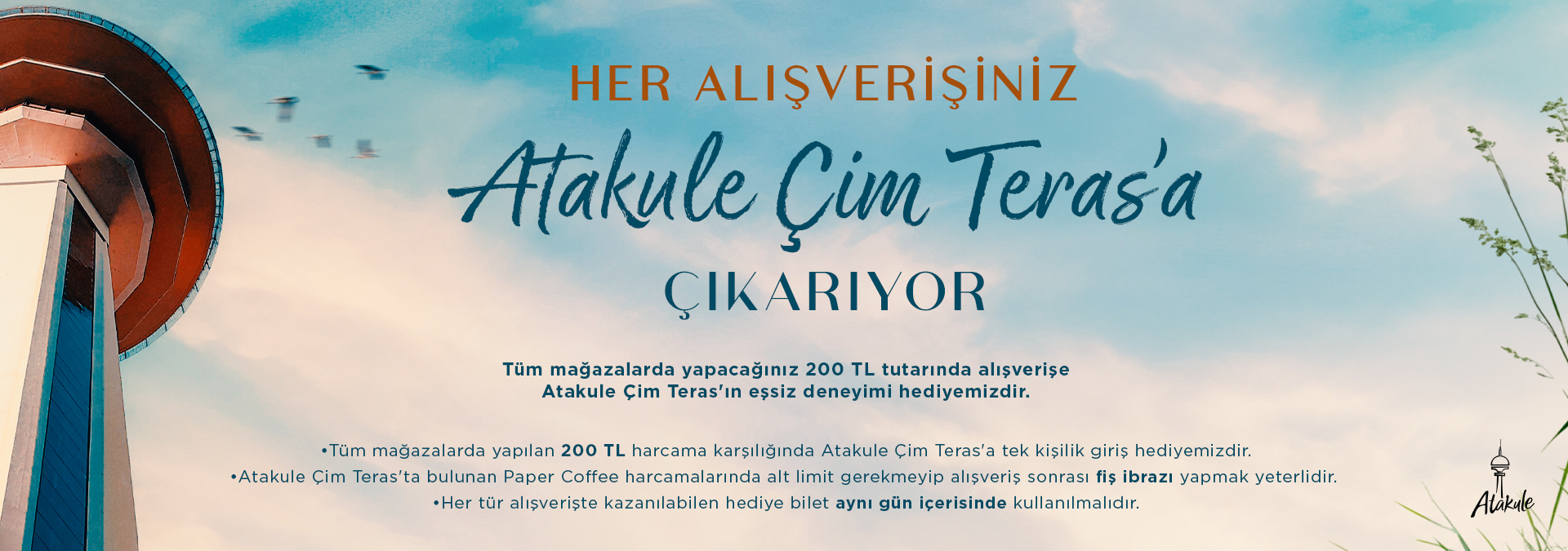 Çim Teras
