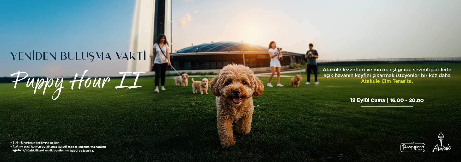 Puppy Hour II